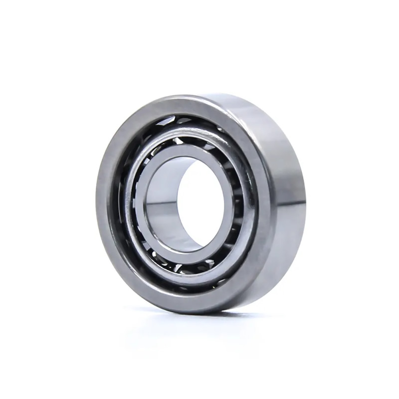 SS5217-2RS Stainless Steel Bearings